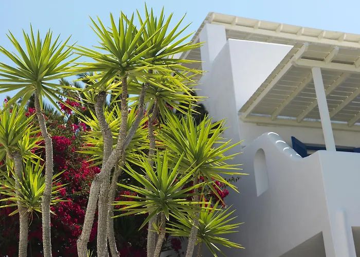 Aloni & פיסו ליבאדי