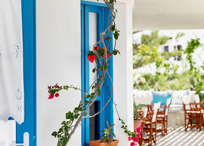 Aloni & פיסו ליבאדי