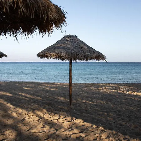 Aloni Hotel&suites Hotel Piso Livadi