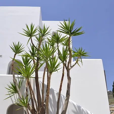 Aloni Hotel&suites 3* Piso Livadi