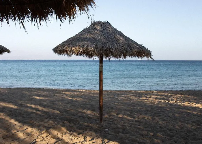 Aloni & ホテル ピソ ・リバディ